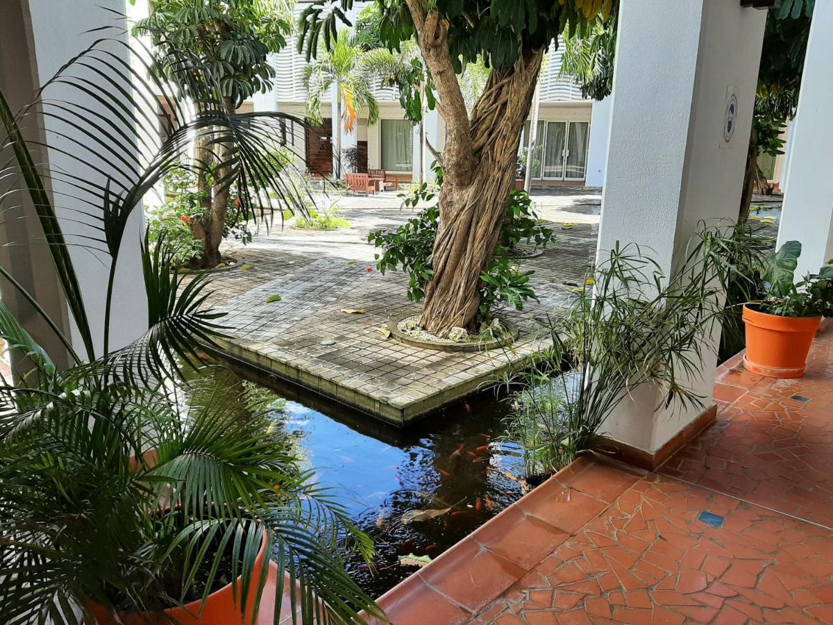 F3 _ Kaz Ananas Passion Au Manganao Apartment Сен Франсоа Екстериор снимка