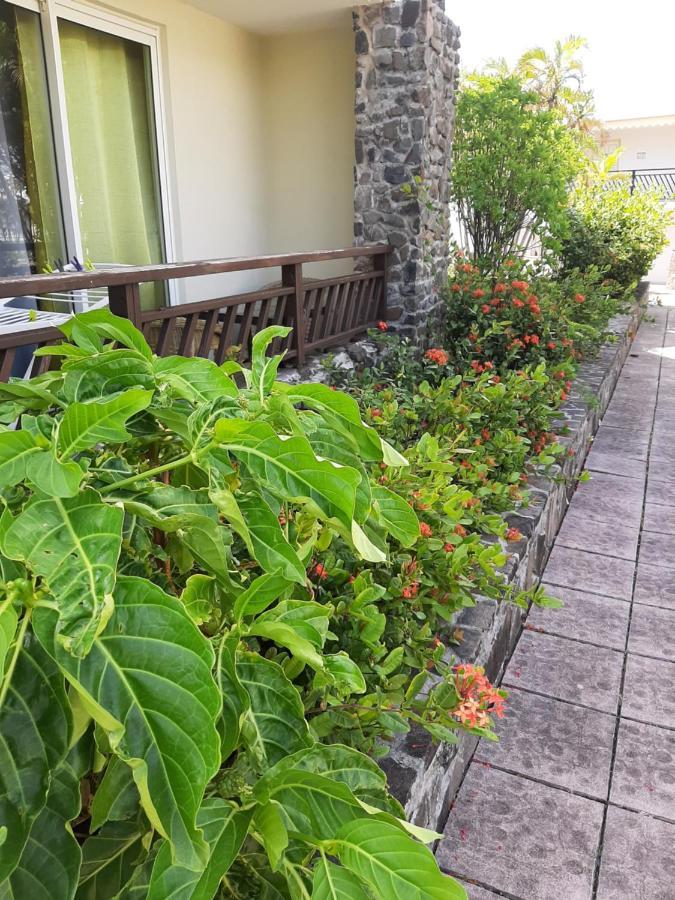F3 _ Kaz Ananas Passion Au Manganao Apartment Сен Франсоа Екстериор снимка